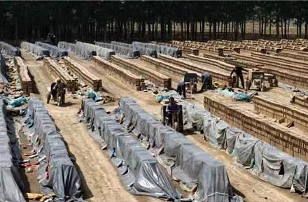烧 砖 制 瓦 行——邯郸文化网